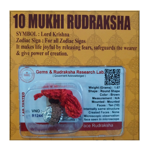 Certified Rudraksh - 10 Face - RF010