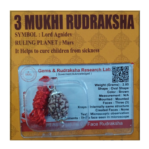 Certified Rudraksh - 3 Face - RF003