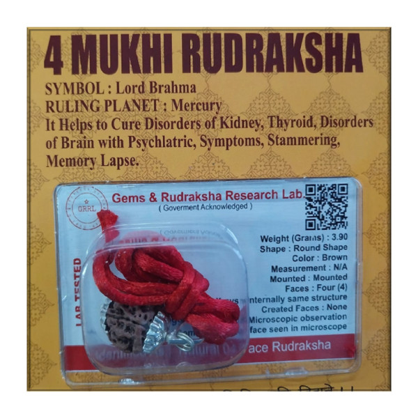 Certified Rudraksh - 4 Face - RF004