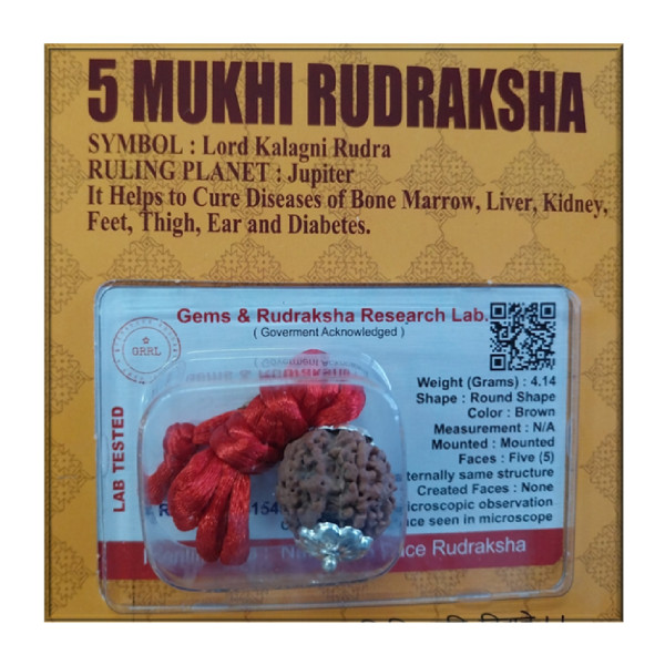 Certified Rudraksh - 5 Face - RF005