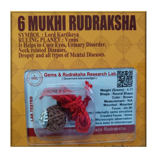Certified Rudraksh - 6 Face - RF006