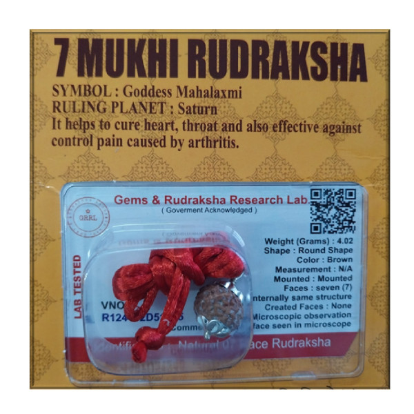 Certified Rudraksh - 7 Face - RF007