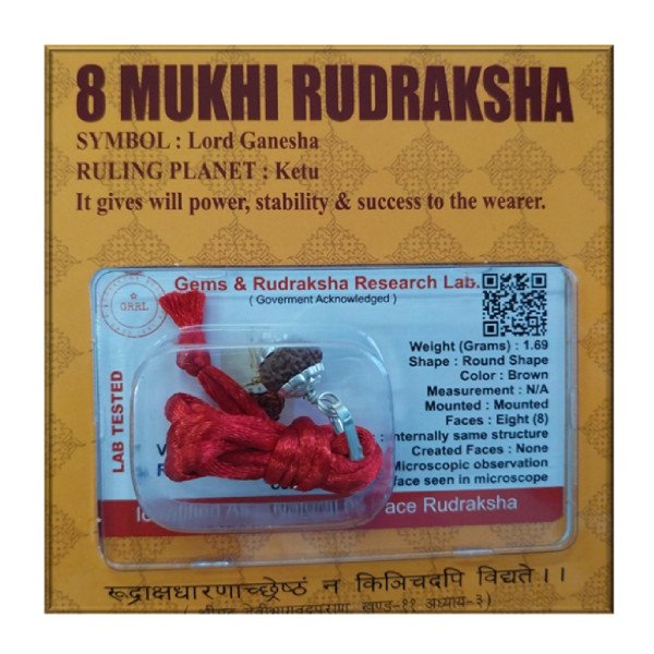 Certified Rudraksh - 8 Face - RF008