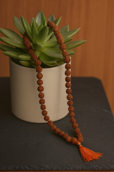 Jap Mala - Rudraksh (Medium)